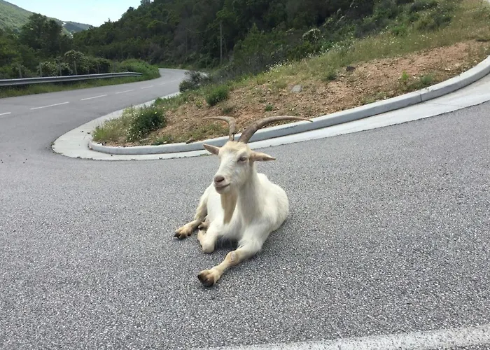 Villa Marina - Exceptional Sea View Ruppione - By Tgb